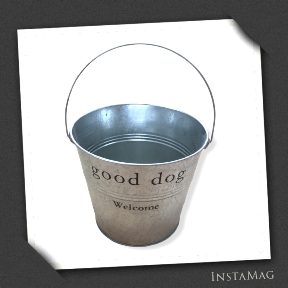 ⭐️HP⭐️ HARRY BARKER Good Dog Silver Toy Bucket